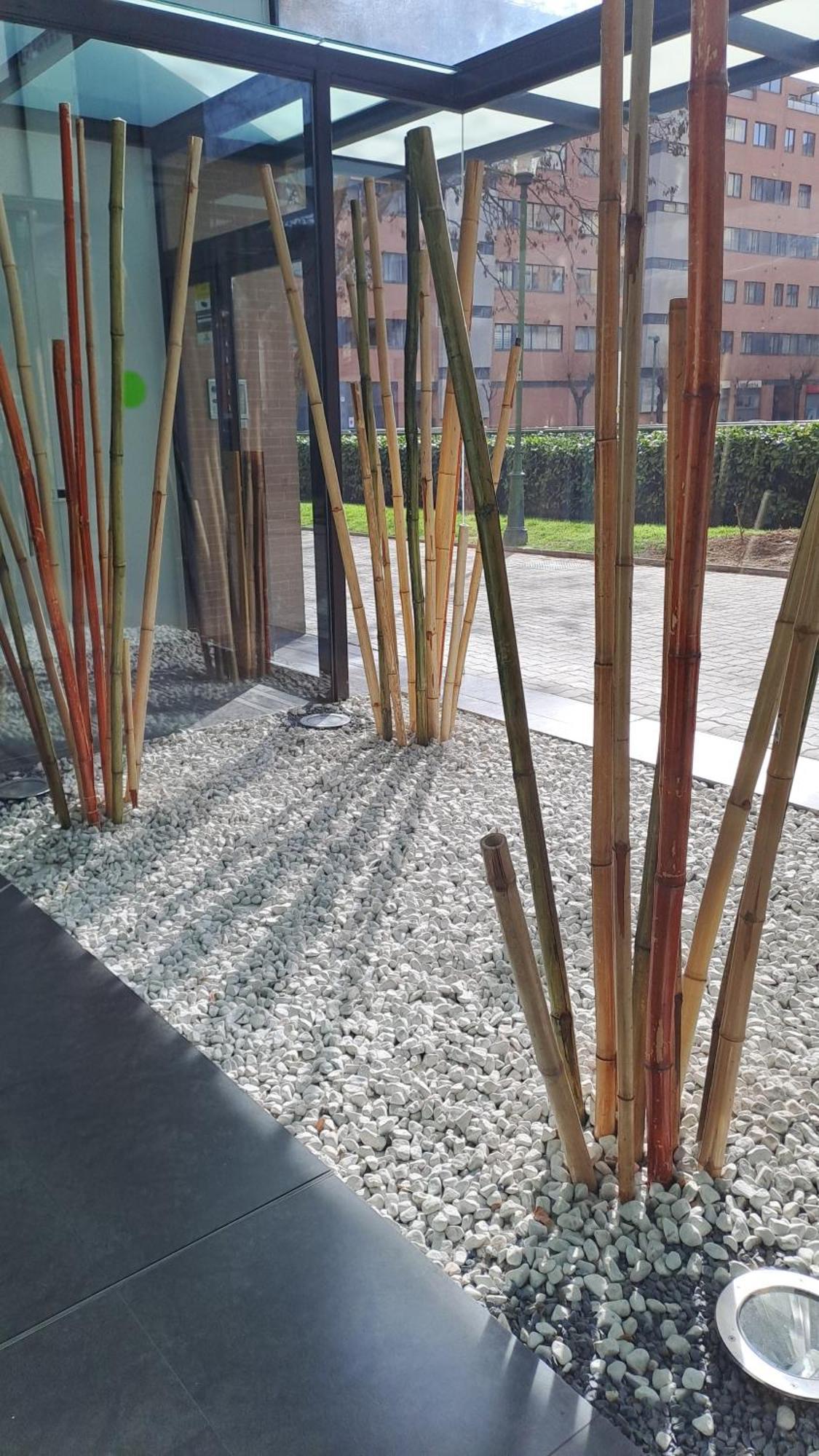 Burgo Habitaciones De Lujo Con Hermosas Vistas A La Cuidad מראה חיצוני תמונה